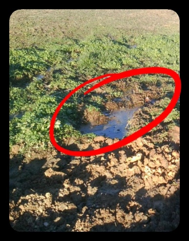 sewage tank texas cities 
      zip batch